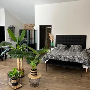 Le Vieux Platane Hébergement de vacances